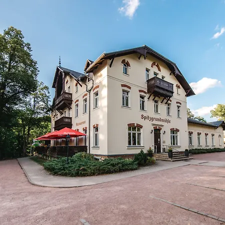 Historische Spitzgrundmuehle 3*