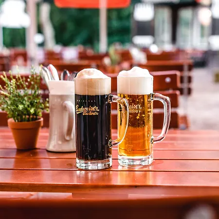 Hotell Historische Spitzgrundmuehle Coswig (Saxony)