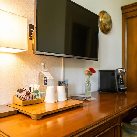 Hotel Historische Spitzgrundmuehle Coswig (Saxony)