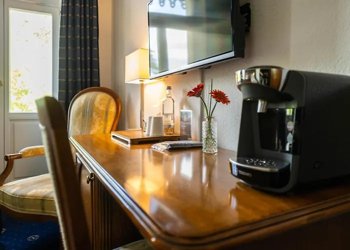 Historische Spitzgrundmühle Hotel 3*