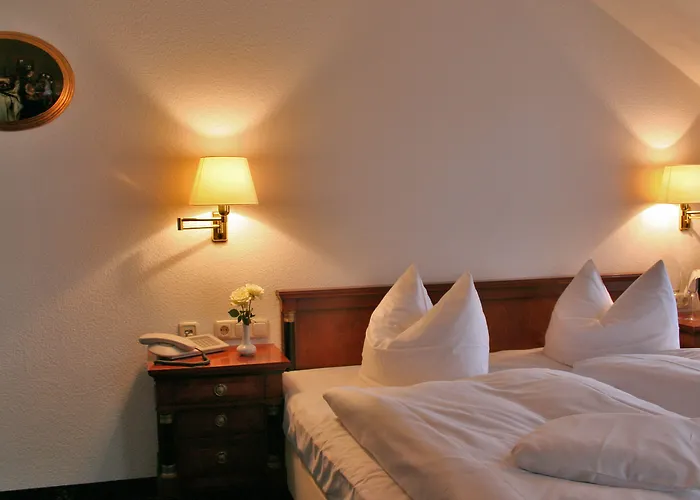 Historische Spitzgrundmühle Hotel Coswig (Saxony)