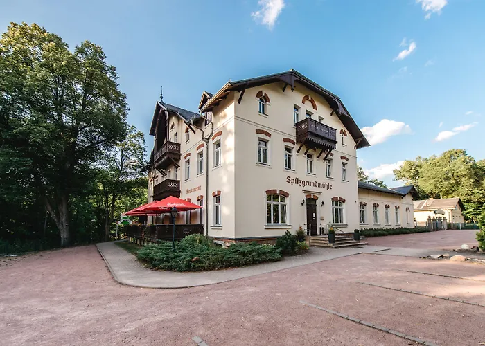 Historische Spitzgrundmühle 3*