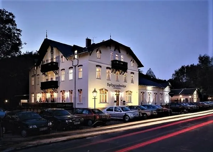 Hotel Historische Spitzgrundmühle 3*